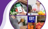 This is the newsroom image for the The Food and Nutrition Assistance Landscape: Fiscal Year 2024 Annual Report report.